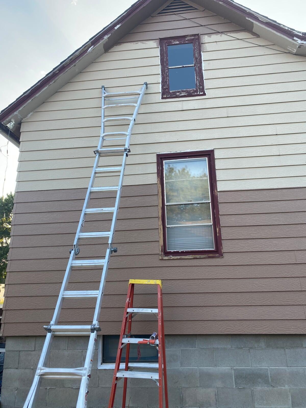 Painting and Ladder
